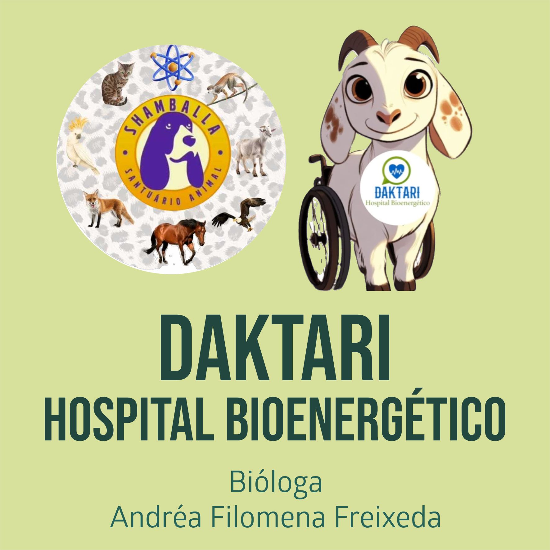 Daktari Hospital Bioenergetico